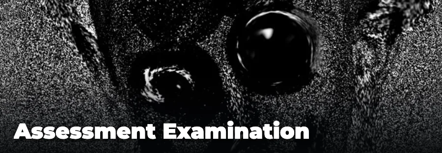 Assessment Examination — play the free online horror game on FunClicker
